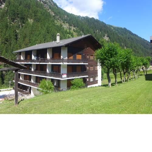 Apartment Aiglon