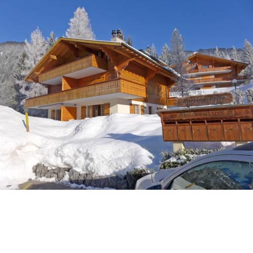Apartment Aiguilles DorÃ©es III