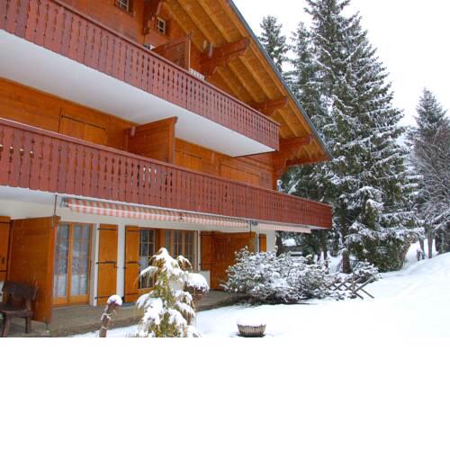 Apartment Aiguilles Dorées I