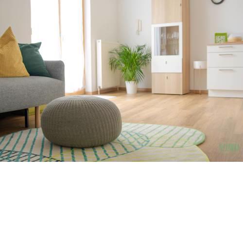 Apartment Alexandra