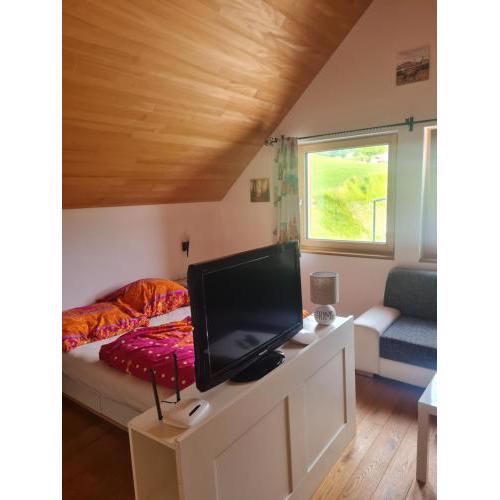 Apartment am Skigebiet Bödele