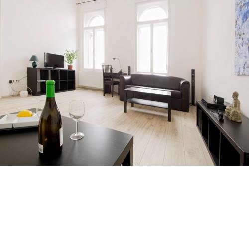 Apartment Andrassy