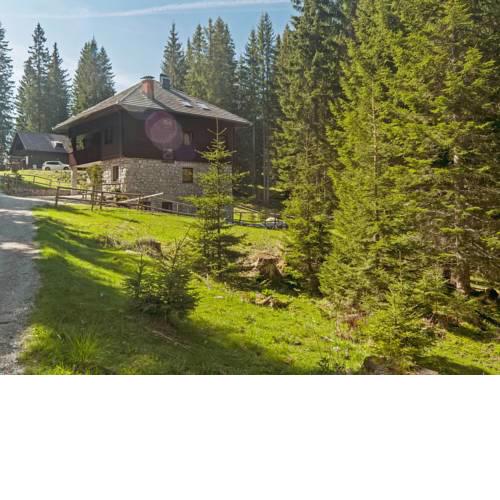 Apartment Apartma Medved