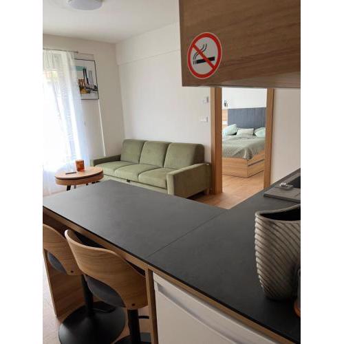 Apartment Bayerova