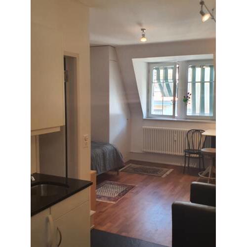 Apartment Bern City