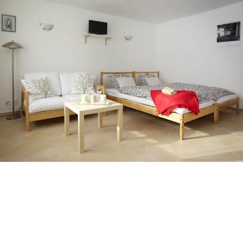 Apartment Bořivojova