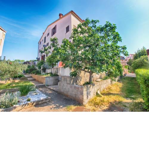 Apartment Borjana 1628