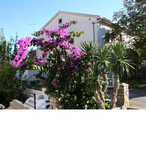 Apartment Branka