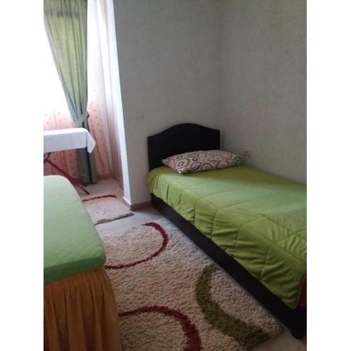 Apartment Branka