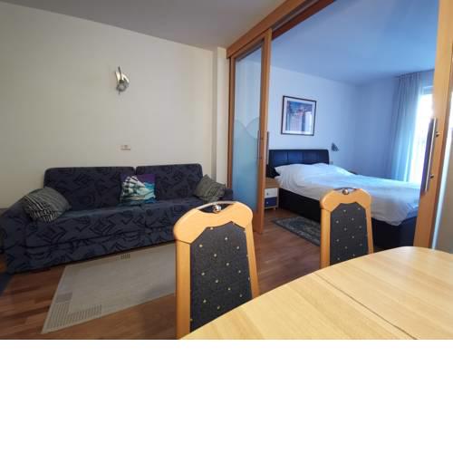 Apartment Brinovec