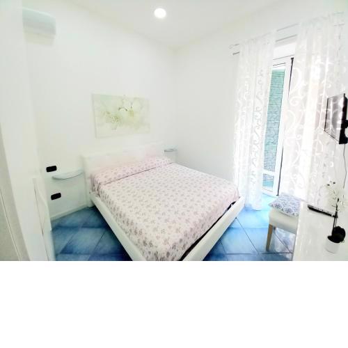 Apartment Central