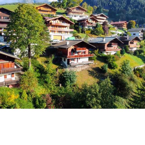 Apartment Chalet Ahorn