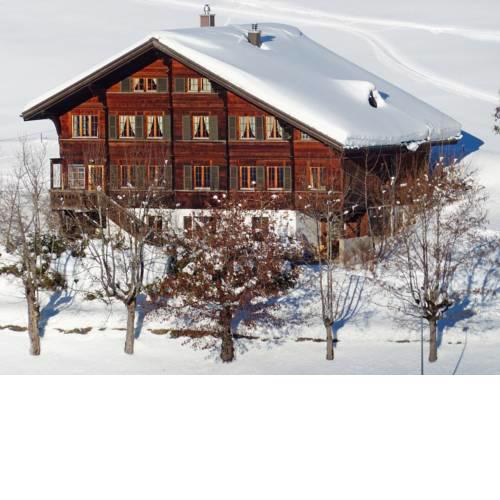 Apartment Chalet Ahorni