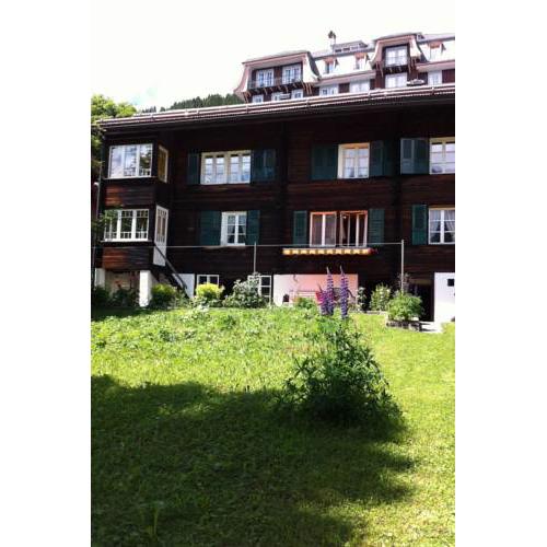 Apartment Chalet Alpenblick