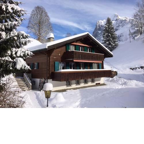 Apartment Chalet Bienli