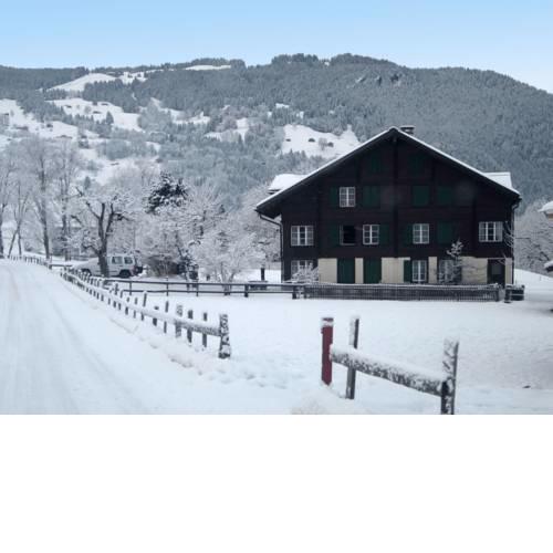 Apartment Chalet Chilchboden