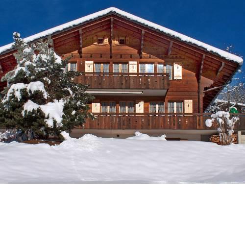 Apartment Chalet Doris.2
