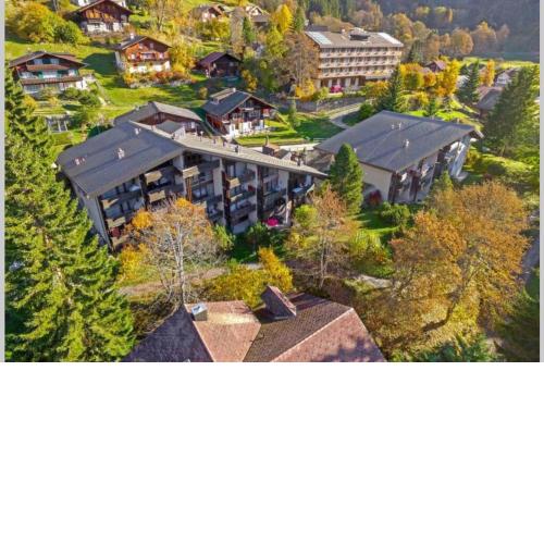 Apartment Chalet Gruebi