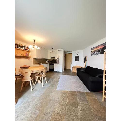 Apartment Chesa Erica 65m2 with private garden