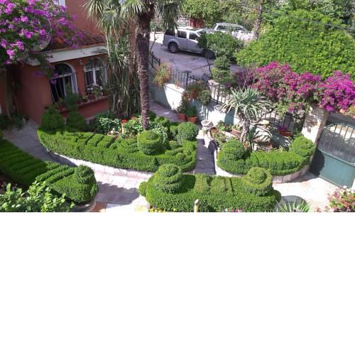 Apartment City Garden