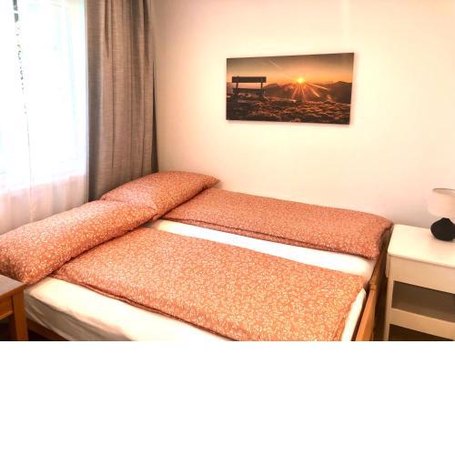 Apartment Deluxe with Garden Rapperswil-Jona