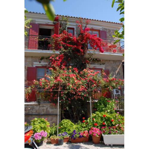 Apartment Dionysos