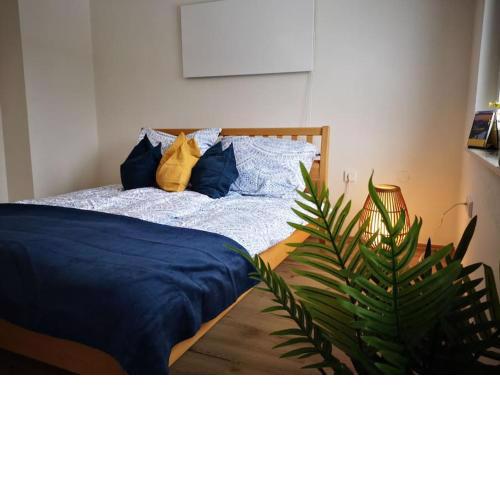 Apartment direkt am Weingut Garber