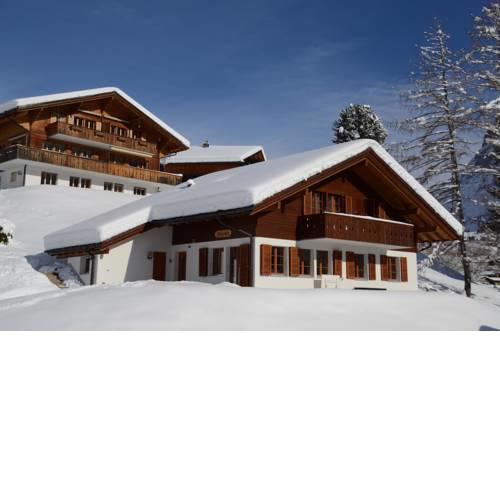 Apartment Dolomit DG 3.5- GriwaRent
