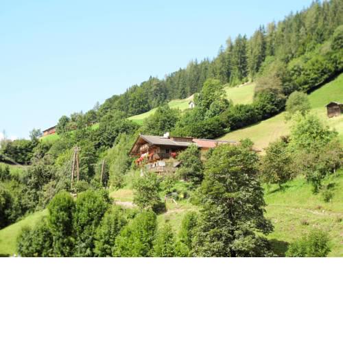 Apartment Einfanghof (WIL691)