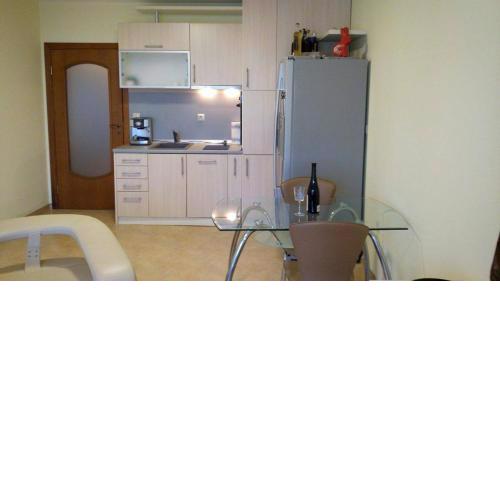 Apartment Evksinograd
