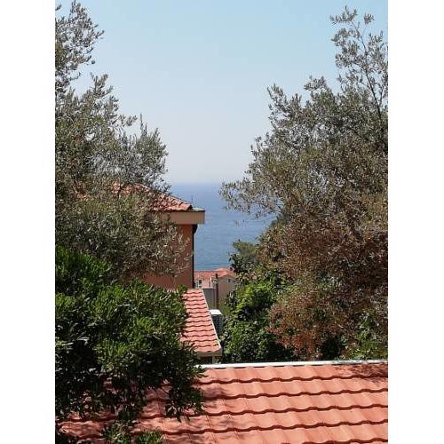 Apartment G Petrovac