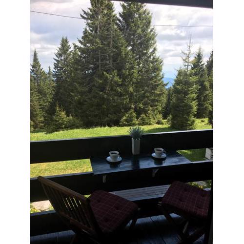 Apartment Gaber 82