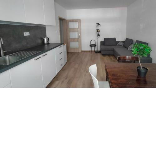 Apartment Gorkeho