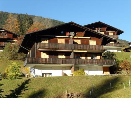 Apartment Grindelwaldgletscher 3.5 - GriwaRent AG