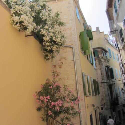 Apartment Grisia