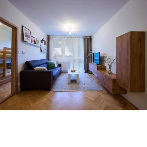 Apartment Harrachov 377 by Interhome