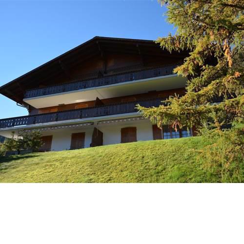 Apartment Hornflue (Wohlwender)