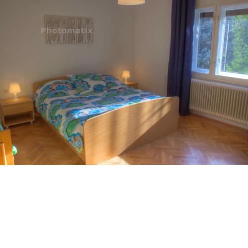 Apartment House Potnik