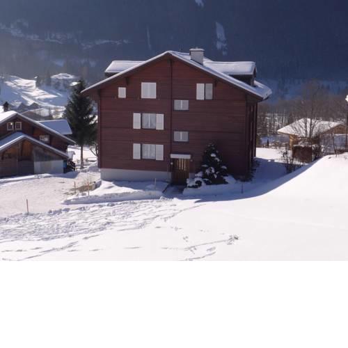 Apartment Im Mettli