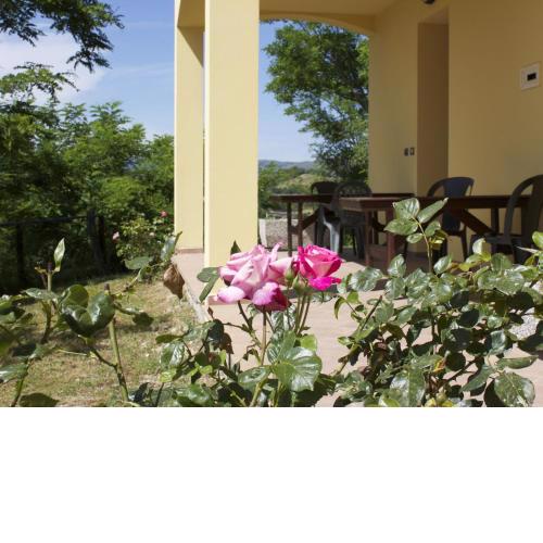 Apartment in Casalfiumanese with Terrace Garden Parking