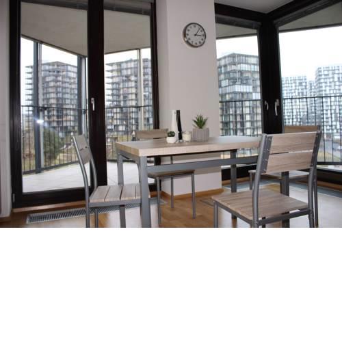 Apartment in Central Park (Zizkov)