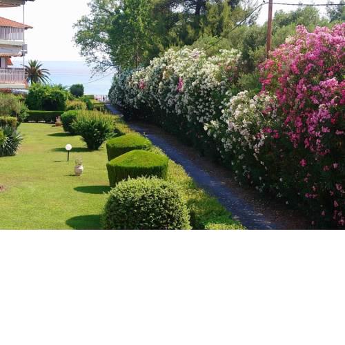 Apartment in Hanioti next to the sea
