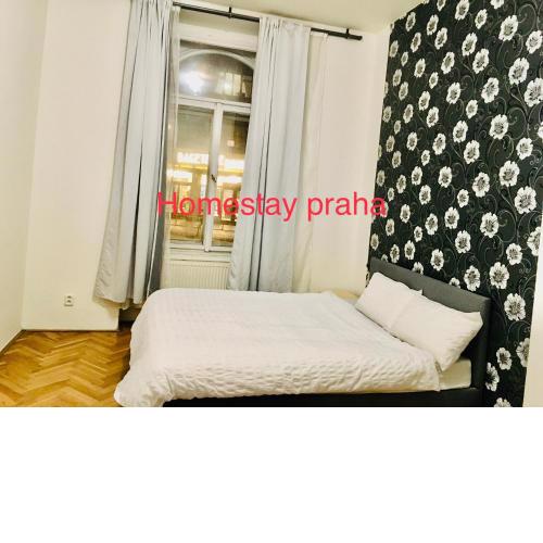 Apartment in square praha 2