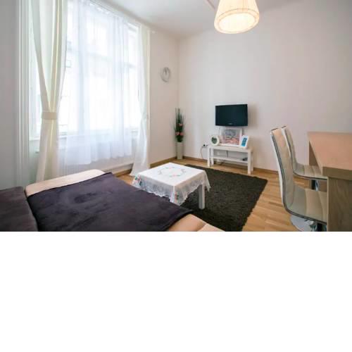 Apartment in the city center Vienna