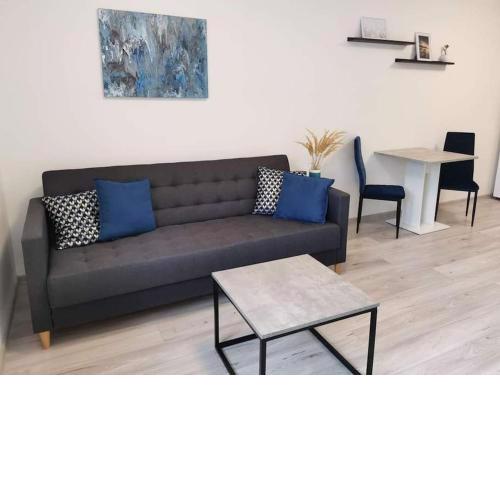 Apartment in the city centre