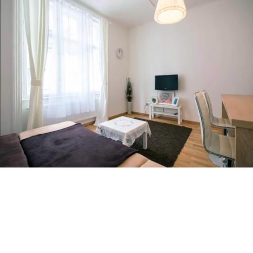 Apartment in the heart of Vienna