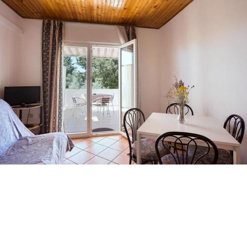 Apartment in Ugljan with Terrace, Air conditioning, Wi-Fi, Washing machine (4580-7)