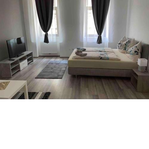 Apartment in Vienna City center