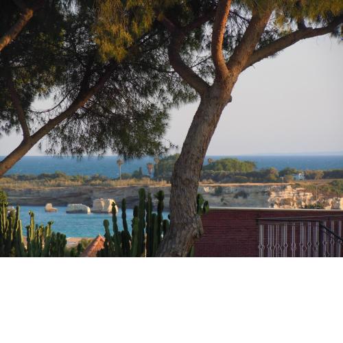 Apartment in villa Tersi 200 meters from the sea - air conditioned - wifi