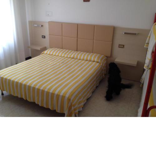 Apartment Istria